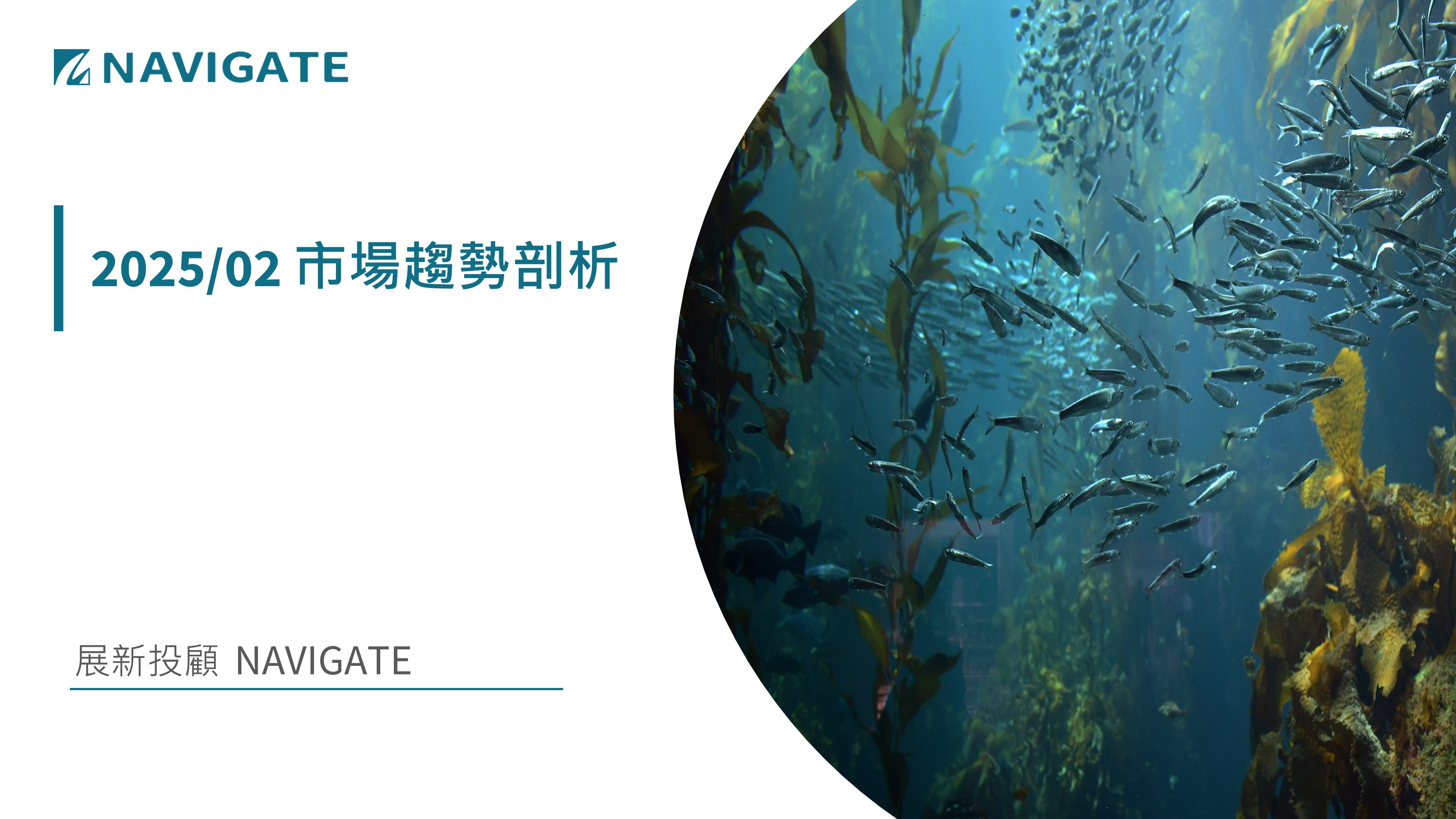 2025/02 市場趨勢剖析 || 展新證券投資顧問股份有限公司 Navigate Investment Consultant Co., Ltd.