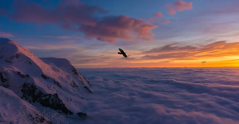 瑞士隆奧 2026 年展望:支出亮眼、成長平淡;新興市場與黃金值得關注 || 展新證券投資顧問股份有限公司 Navigate Investment Consultant Co., Ltd.